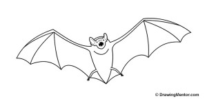 Cool Things to Draw - Take Your Pick!
