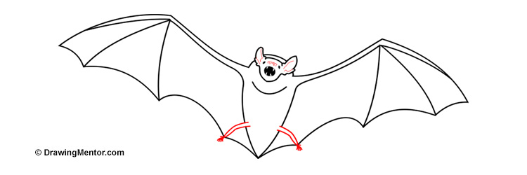 cute fruit bats drawing