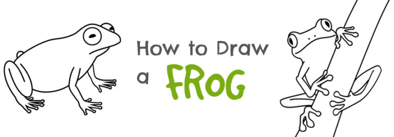 how to draw a frog